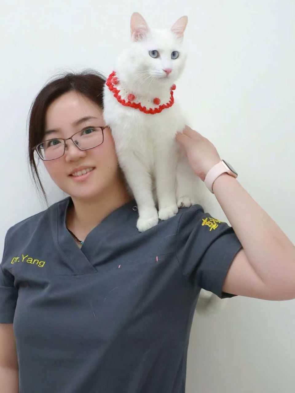 Dr. Yang Xiaodan